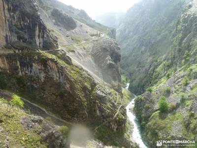 Ruta Cares-Picos de Europa; desfiladero rio puron sierra de montsant parque natural o invernadeiro l